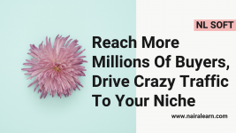 Reach More Millions Of Buyers, Drive Crazy Traffic To Your Niche.png