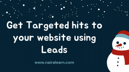 Get Targeted hits to your website using Leads.png