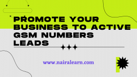 promote your business to active gsm numbers , nairalearn.png